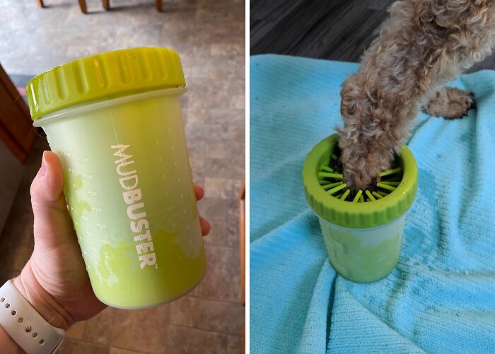 Make Post-Walk Paw Cleanup Easier With This Mud Buster Dog Paw Cleaner