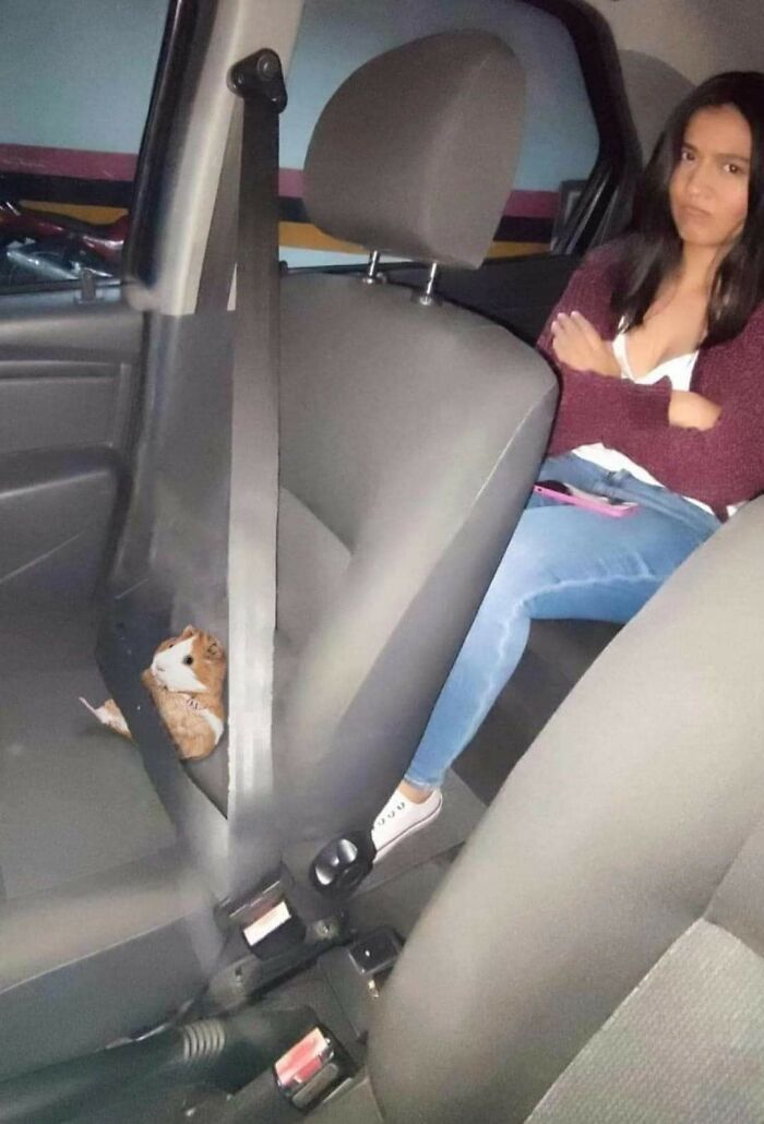 Wait, These Animals Just Woke Up and Went Full Nonsense!