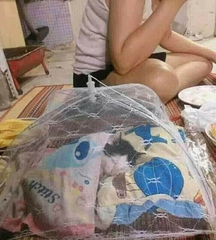 Wait, These Animals Just Woke Up and Went Full Nonsense!