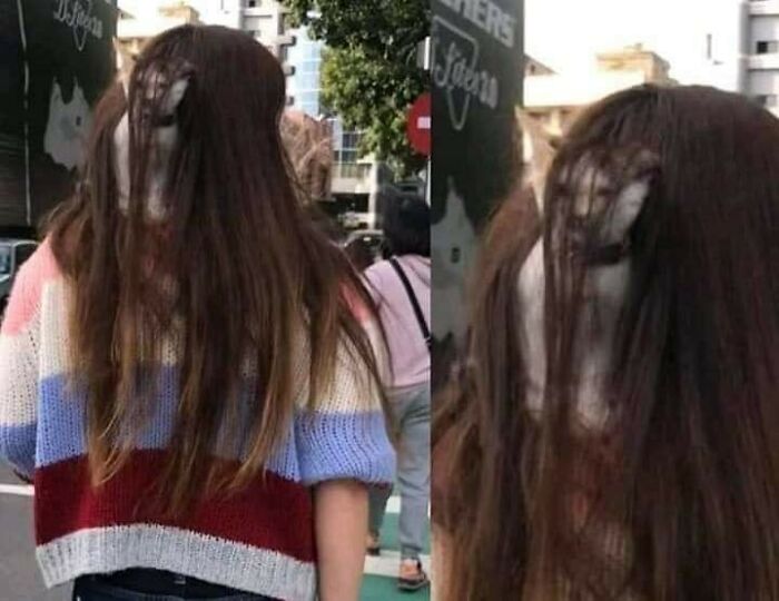 Wait, These Animals Just Woke Up and Went Full Nonsense!