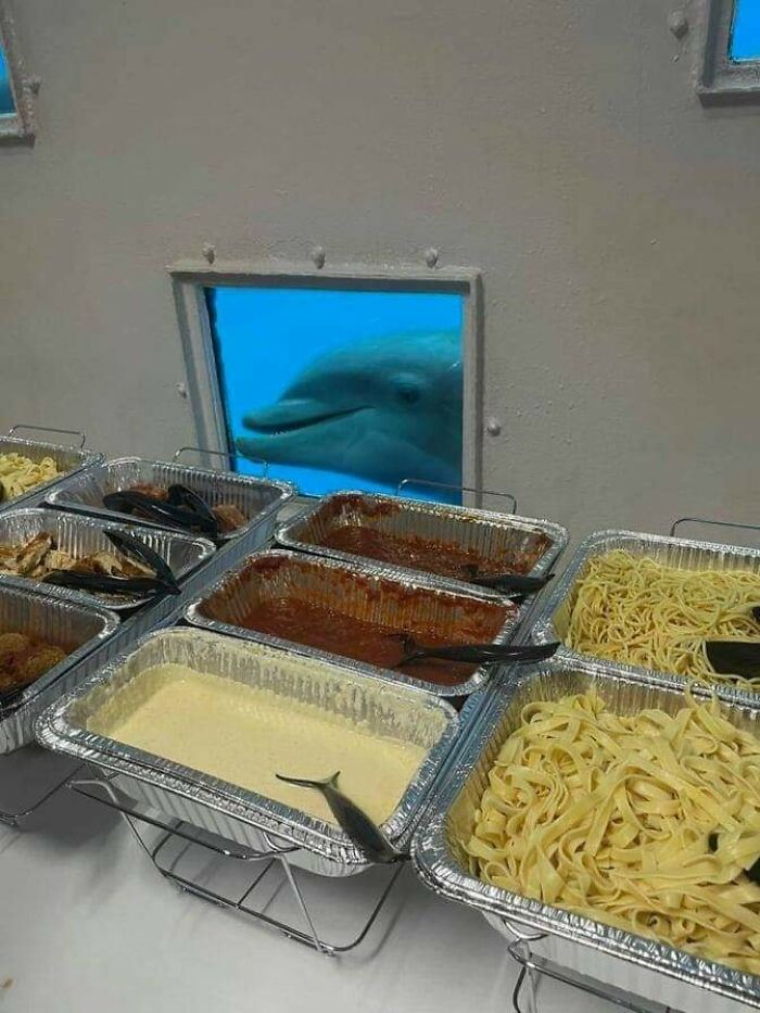 Wait, These Animals Just Woke Up and Went Full Nonsense!