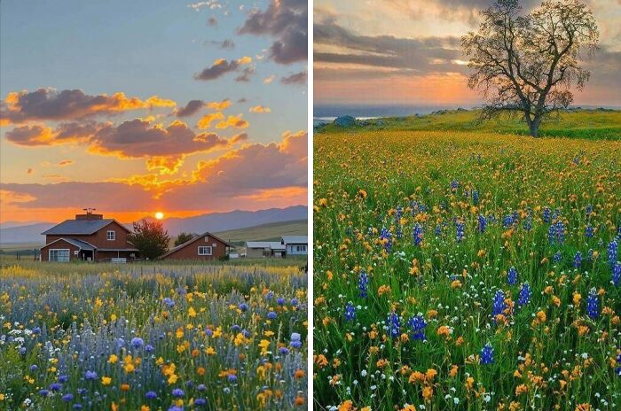 Wait Till You See These 50 Dreamy Cottages That’ll Make You Want to Ditch City Life ASAP