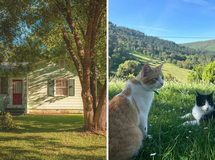 Wait Till You See These 50 Dreamy Cottages That’ll Make You Want to Ditch City Life ASAP