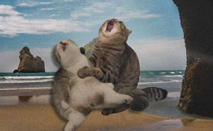 These 25 Cat Memes Nailed Every Weird Mood You’ve Ever Had