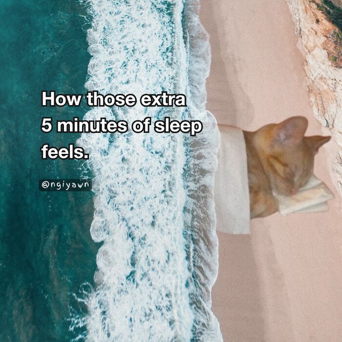 These 25 Cat Memes Nailed Every Weird Mood You’ve Ever Had