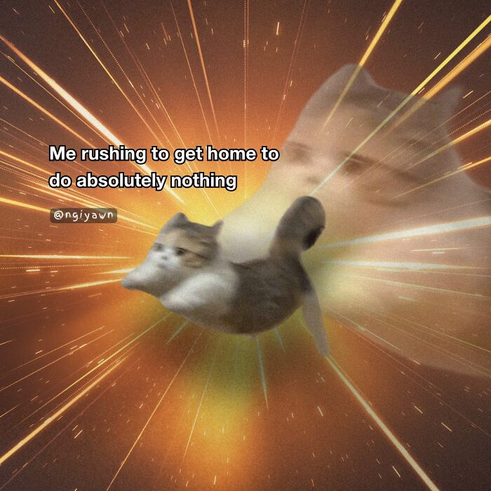 These 25 Cat Memes Nailed Every Weird Mood You’ve Ever Had