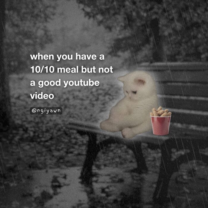 These 25 Cat Memes Nailed Every Weird Mood You’ve Ever Had