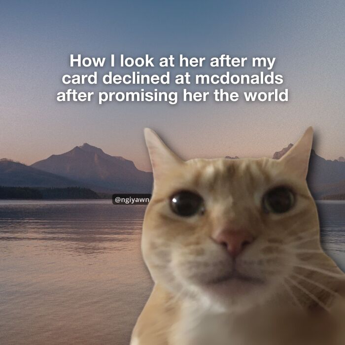 These 25 Cat Memes Nailed Every Weird Mood You’ve Ever Had