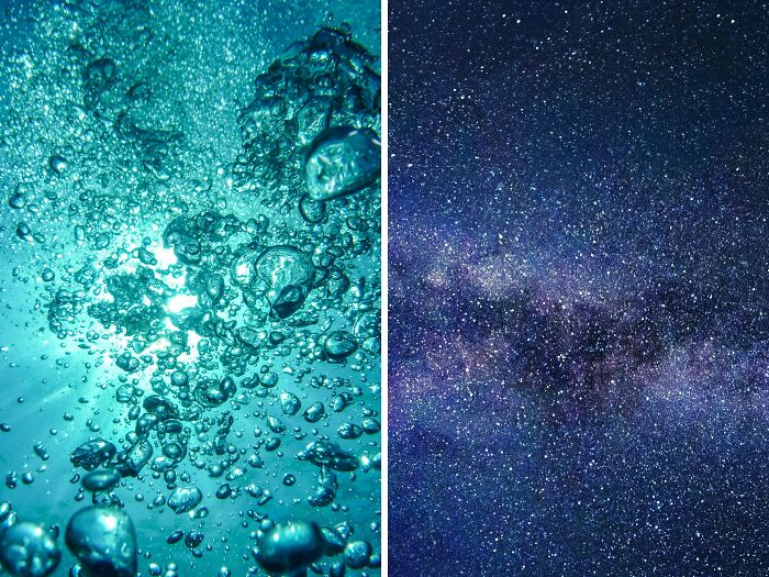 Breathe underwater or survive in space?