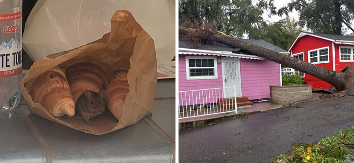 Oops! The Wildest Bad Days Ever Caught on Camera