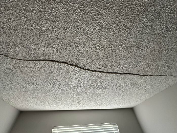 Moved Into My Place... Then Came Home To This