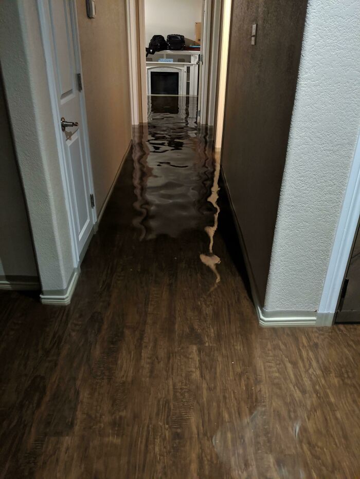 Hurricane Aftermath: Flooded Newly Remodeled House