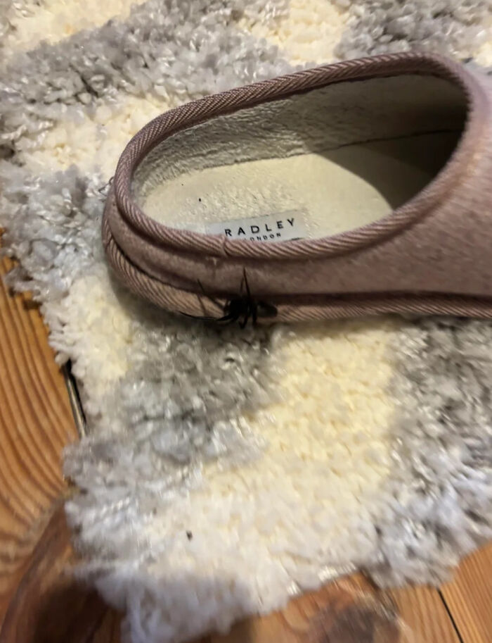 Cold Surprise Inside My Slippers
