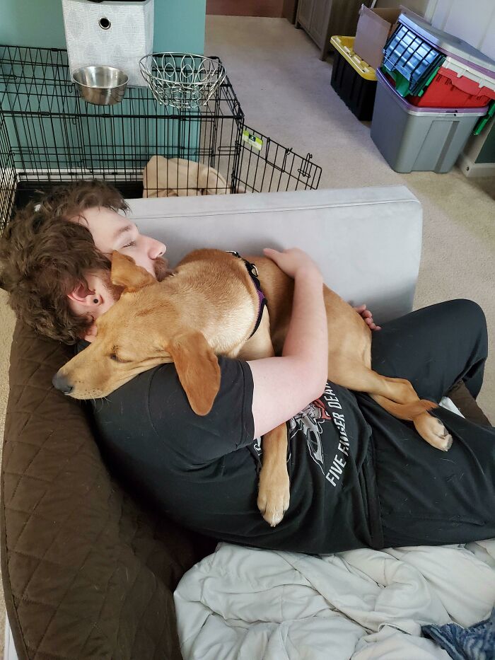 Look At My Dog Napping Next To My Husband — Jealous Yet?