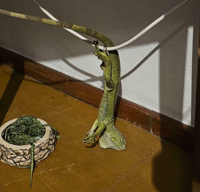 Why Does He Sleep Like This? And Why Is He Mad I Woke Him?