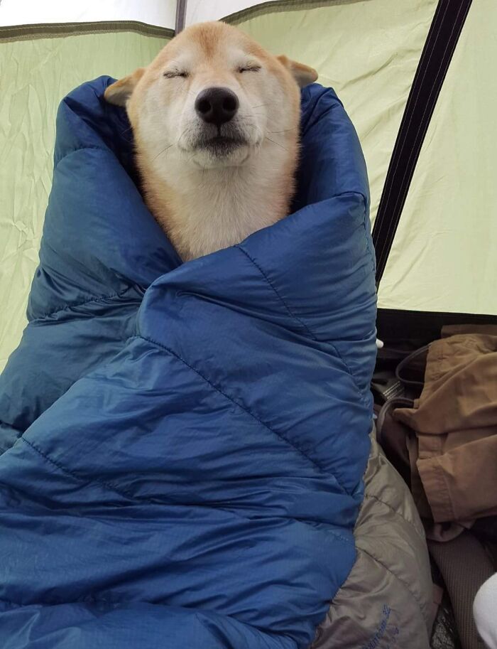 The Magic Of A Sleeping Bag
