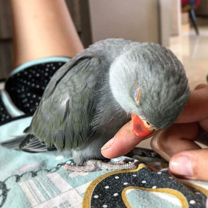 Got Way Too Comfy — Now Gotta Snooze