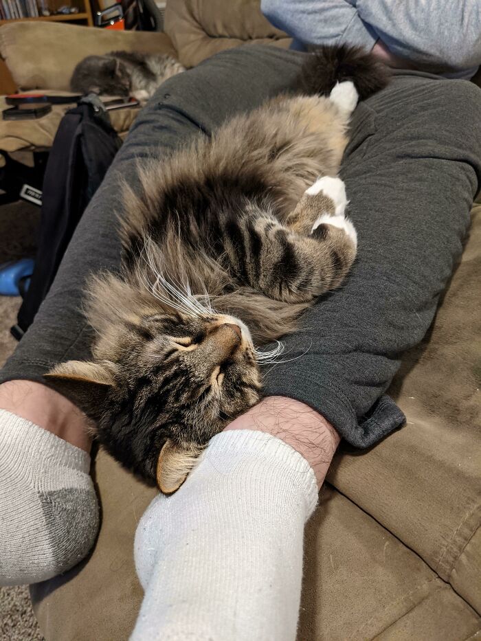 Completely Passed Out, And Loving It