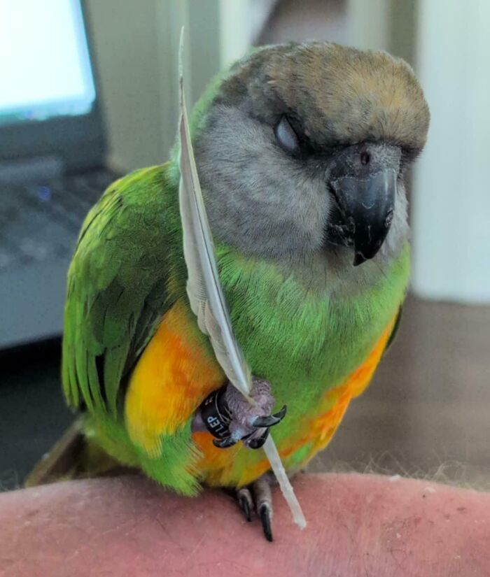 Just Sleeping. Pretty Simple.