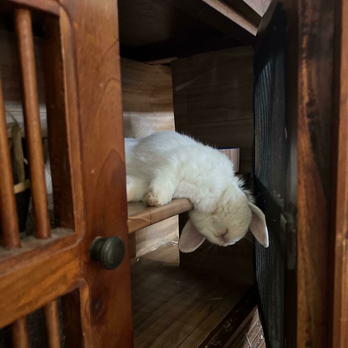 How I Found Jerry Caught Napping