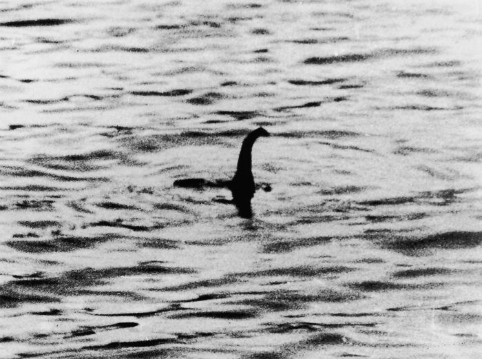 Nessie: Scotland’s Legendary Swimmer