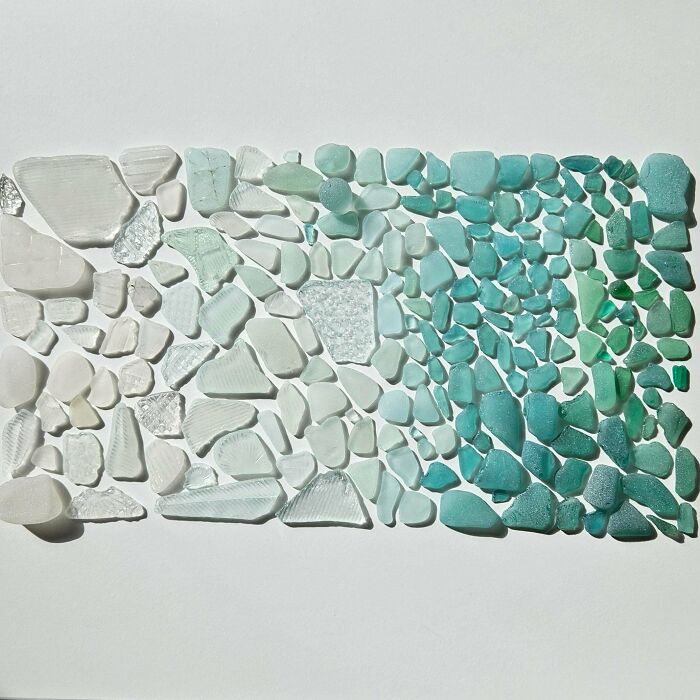 All My ‘Beach Trash’ Collected And Organized