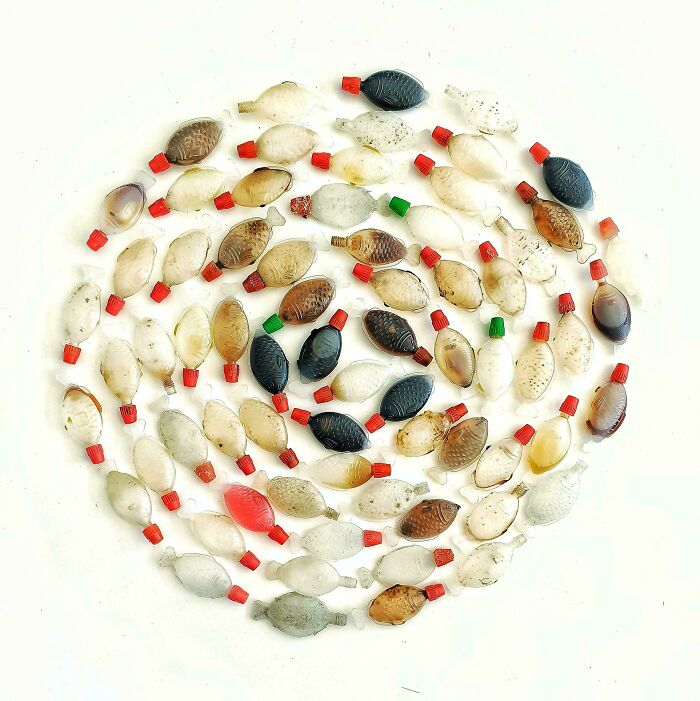 Soy Fish School On A Plate