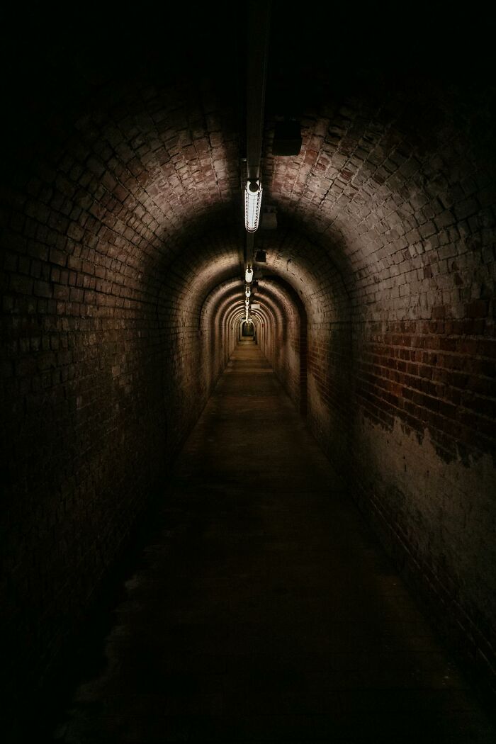 Let’s Dive Into What People Say It’s Like To Be Dead... then Not!