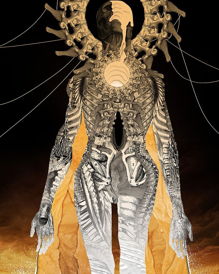 Wait Till You See These Wild Layered Paper Art Creations!