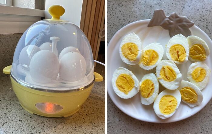 Stop Guessing Egg Cook Times With The Mini Rapid Egg Cooker