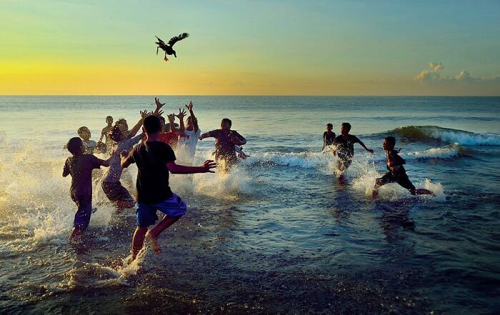 Crazy Duck & Chicken Grabfest, Bali