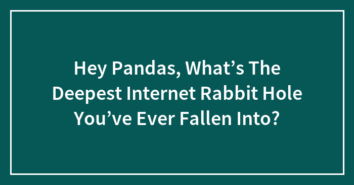 The Wildest Internet Rabbit Holes People Fell Into (No Judgment!)