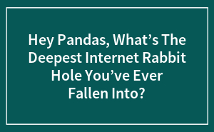 The Wildest Internet Rabbit Holes People Fell Into (No Judgment!)