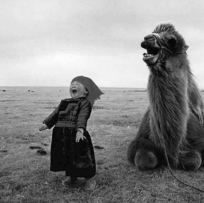 A Giggle Between A Mongolian Girl And Her Camel – 2003