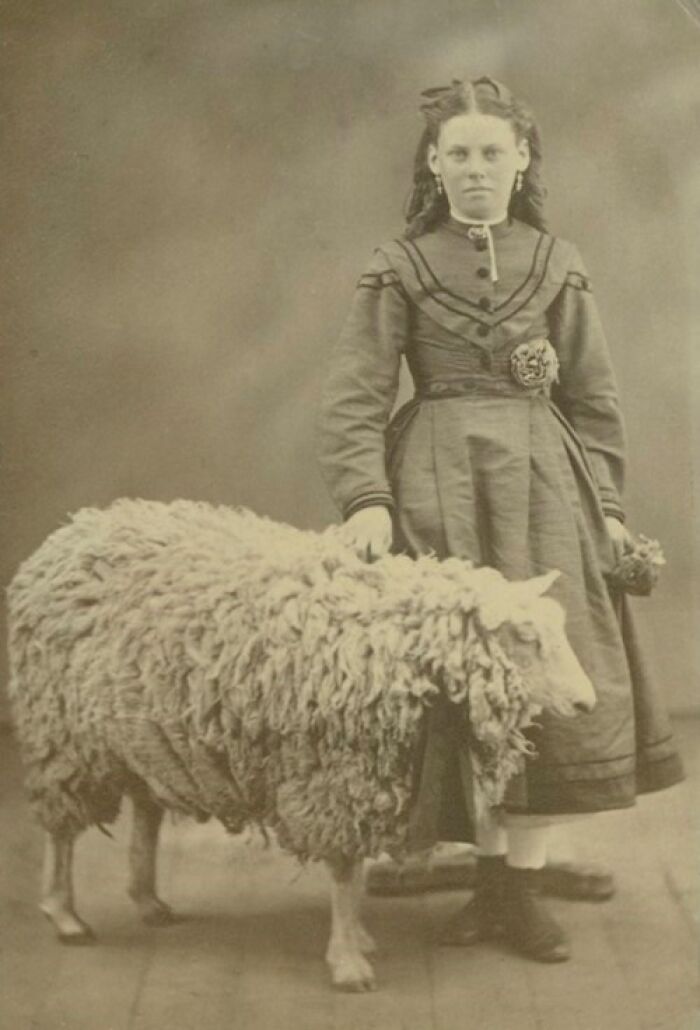 Girl and Her Sheep: The Sweetest Duo of the 1880s or 1890s