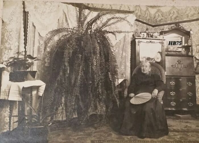 Mrs. Ann Thayer and Her Majestic Fern: Garden Goals