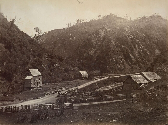 Wellington, NZ, 1880: Forests Took A Hit