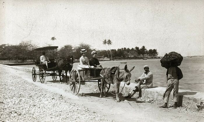 Nassau, Bahamas, 1890: From Trade to Tourist Time