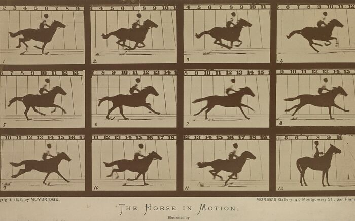 The Horse That Went Airborne: 1878’s High-Speed Photo