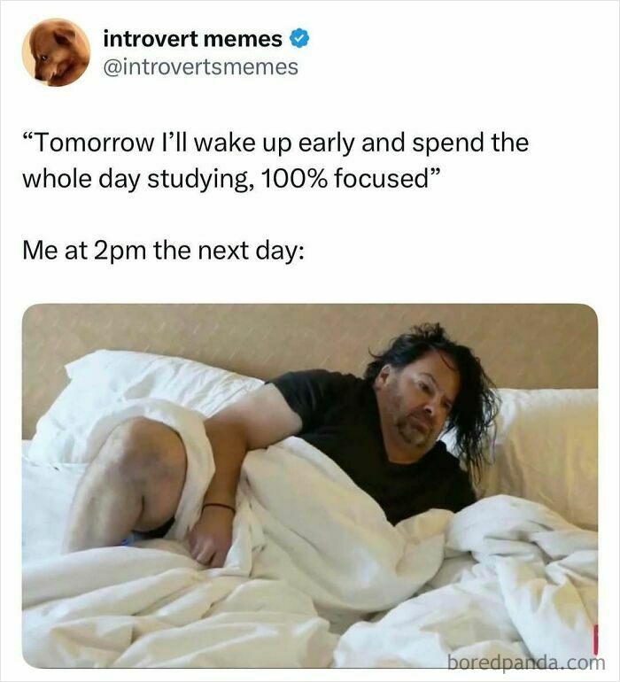 Wait, These Student Memes Are Too Real!