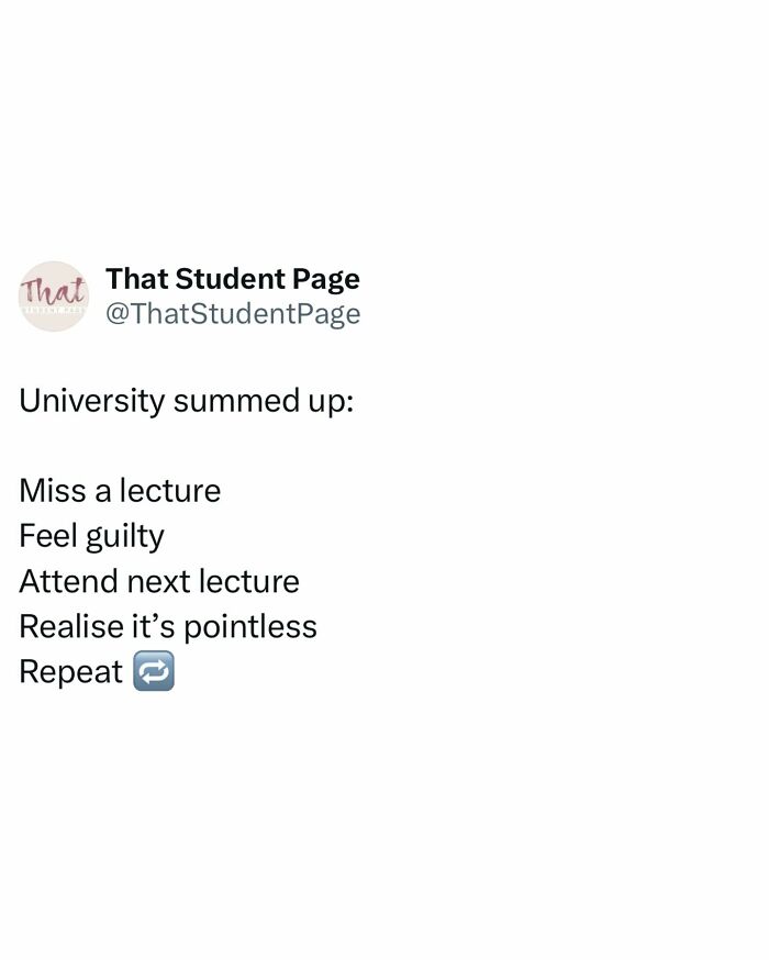 Wait, These Student Memes Are Too Real!