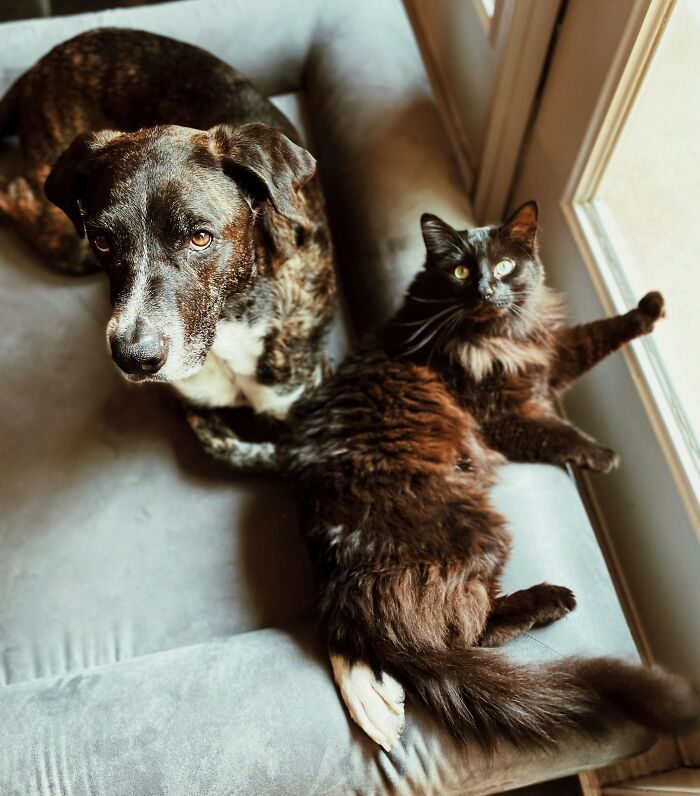 Wait, They Actually Filmed That?! 40+ WTF Moments Caught On Security Cameras