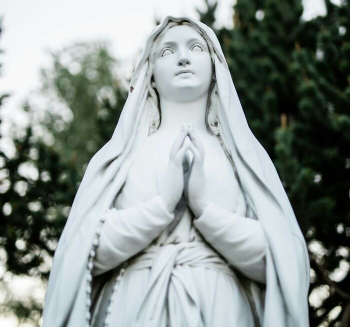 Wait, They Actually Filmed That?! 40+ WTF Moments Caught On Security Cameras