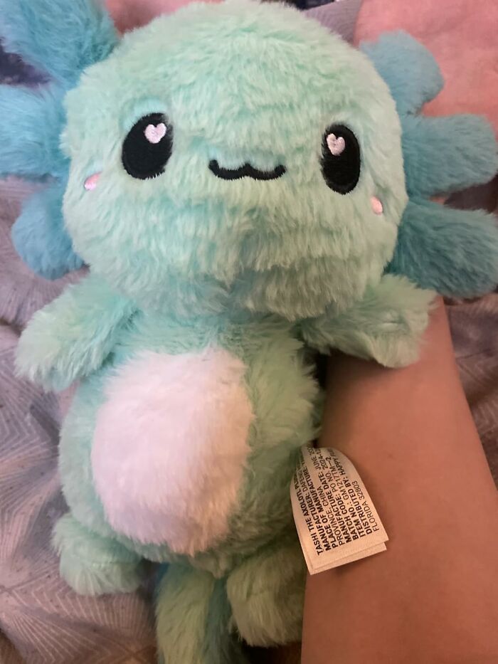 The Cutest Axolotl Heating Pad To Save Tummy Aches And Cold Nights