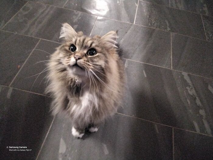 Baby: The Cute Overload