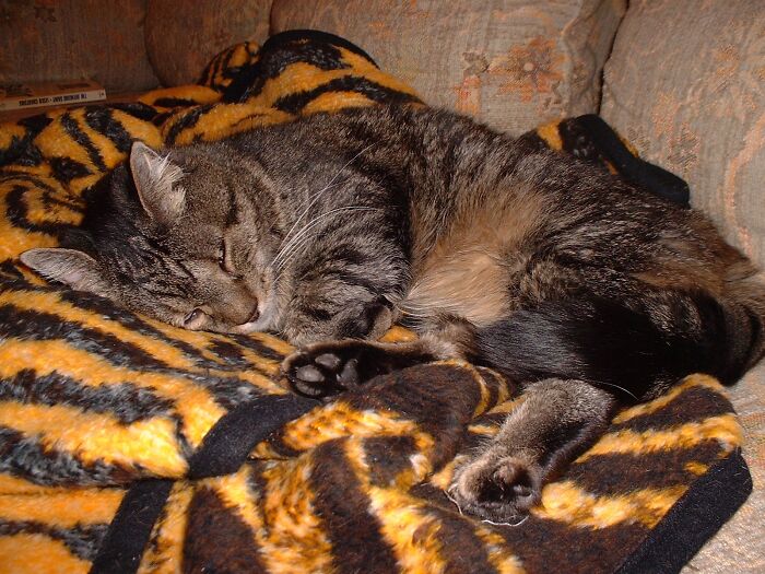 Eben: One Of A Kind and Totally Special