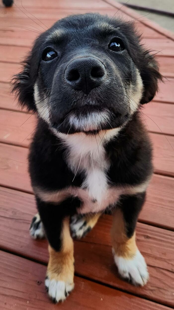 Snickers: Sweet, But Probably Naughty