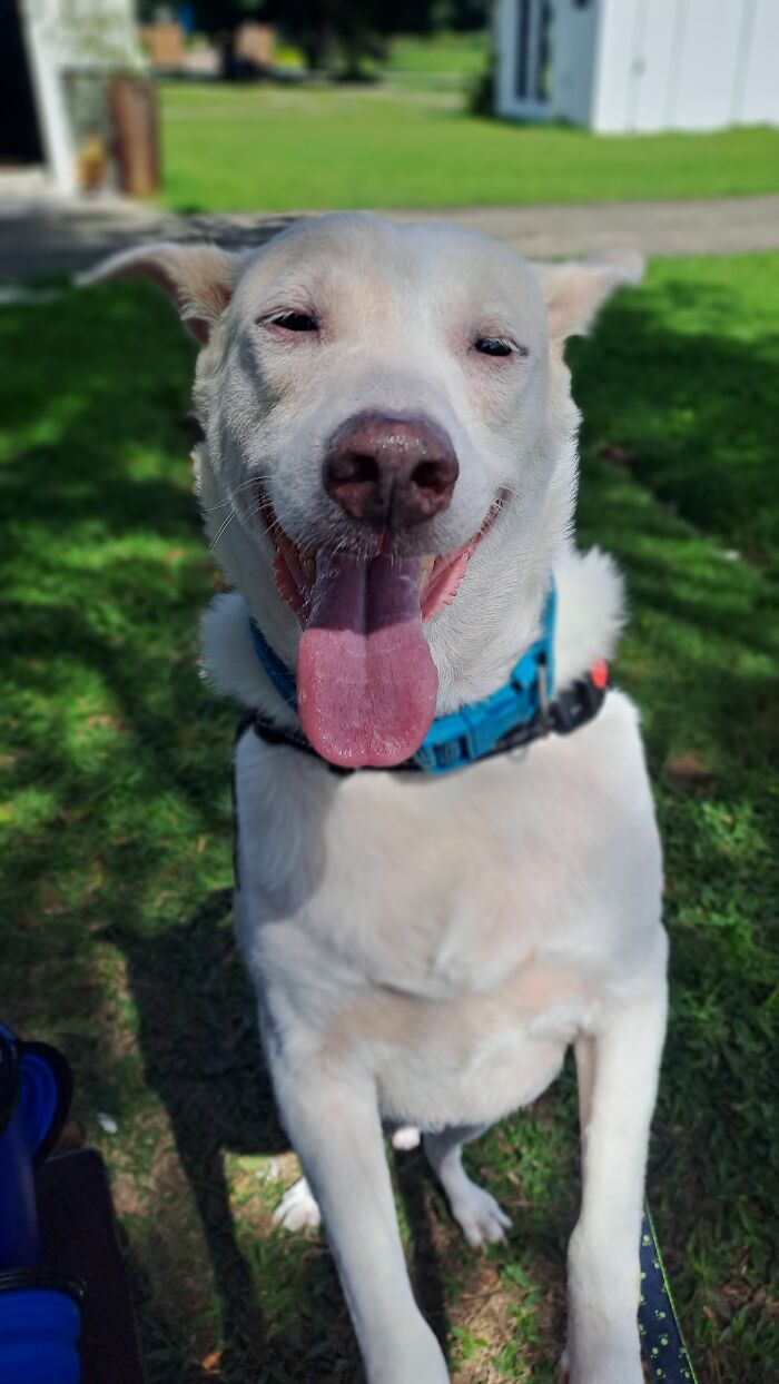 Utoy: Forever in Our Hearts