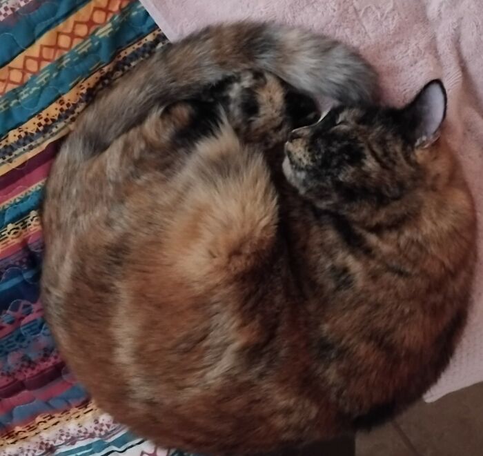 Gem Making Spirals and Magic