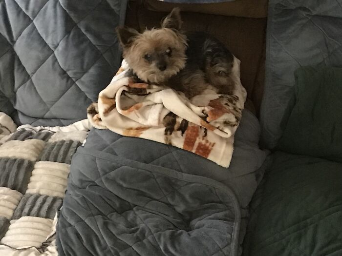 This is Mama: Big Heart in a Cute Package